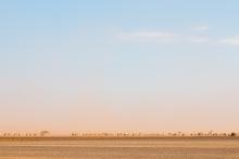 Caravan of camels moving across the edge of the Chalbi Desert in Marsabit County, Kenya. Caravan of camels moving across the edge of the Chalbi Desert in Marsabit County, Kenya.