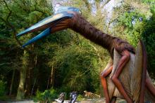 This summer, visitors to the Smithsonian's National Zoo will be able to look up and listen as the roar of a 39-foot-long T. rex joins the symphony of Zoo animal chirps, squawks and chuffs. On exhibit will also be compsognathus, dilophosaurus, parasaurolophus and babies, stegosaurus and baby, and quetzalcoatlus and babies. A large, animatronic Quetzalcoatlus dinosaur and smaller, baby animatronic Quetzalcoatlus dinosaurs on exhibit in a wooded area