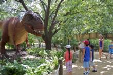 This summer, visitors to the Smithsonian's National Zoo will be able to look up and listen as the roar of a 39-foot-long T. rex joins the symphony of Zoo animal chirps, squawks and chuffs. On exhibit will also be compsognathus, dilophosaurus, parasaurolophus and babies, stegosaurus and baby, and quetzalcoatlus and babies. Visitors to a Zoo or theme park look at a large, animatronic T. rex dinosaur