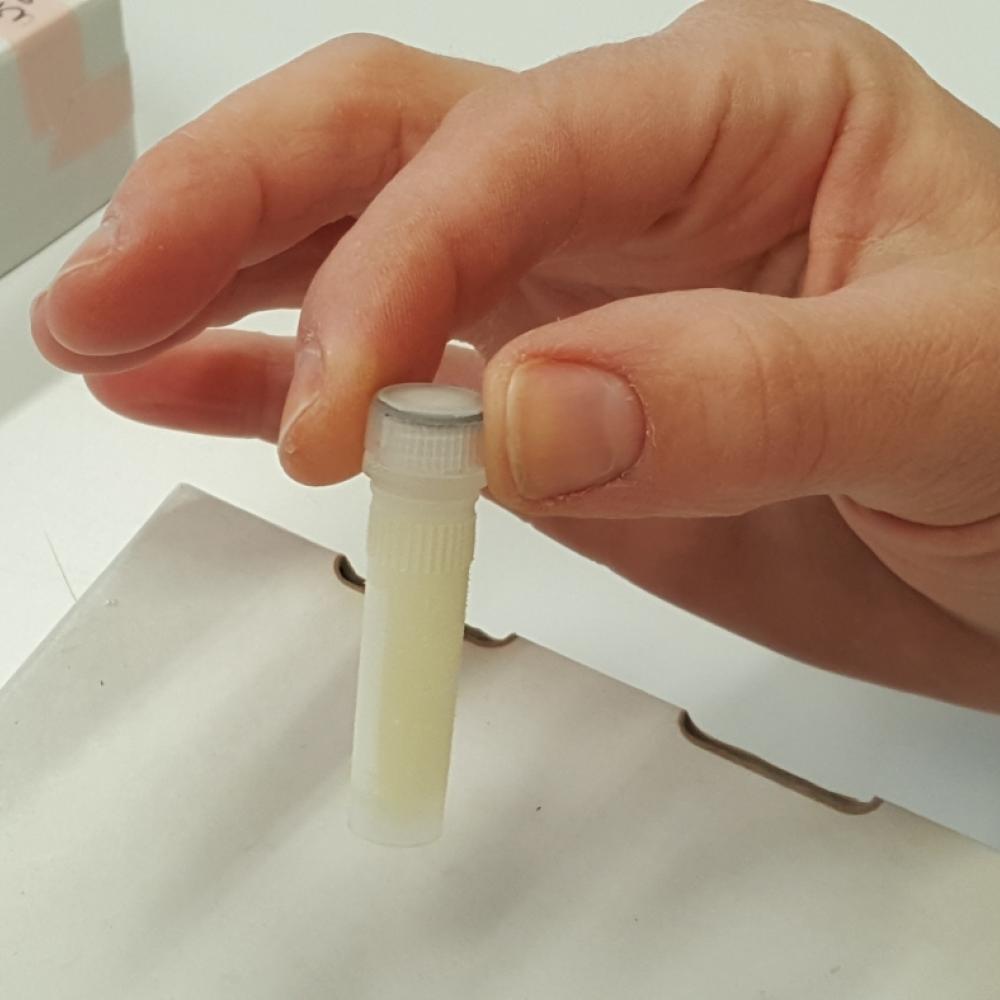 A hand holds a small vial containing cheetah milk