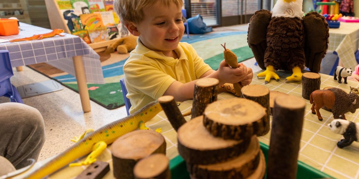 Build Your Nature Play Area