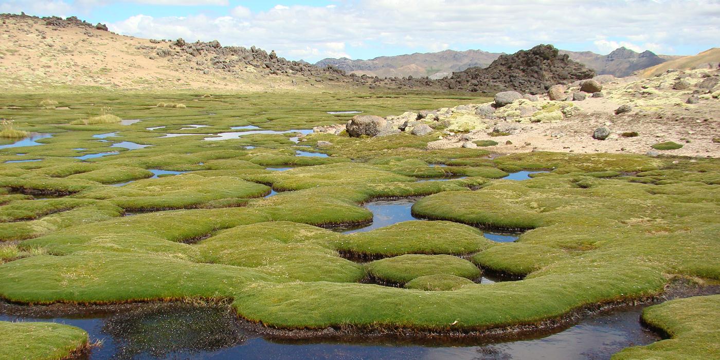 landscape photograph of Andean mountains and valley