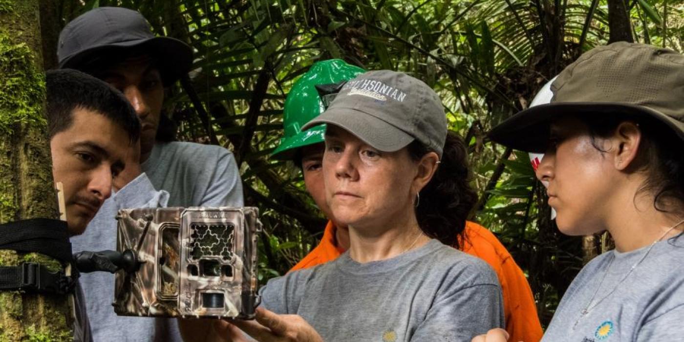 A group of researchers in the Peruvian Amazon set up a camera trap attached to a tree to capture images of animals that pass by