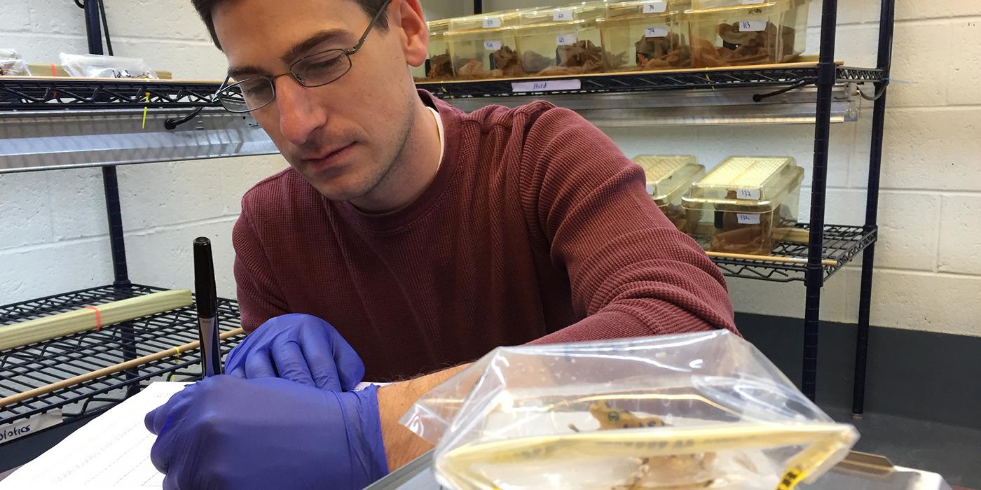 scientists taking notes next to a frog on a scale
