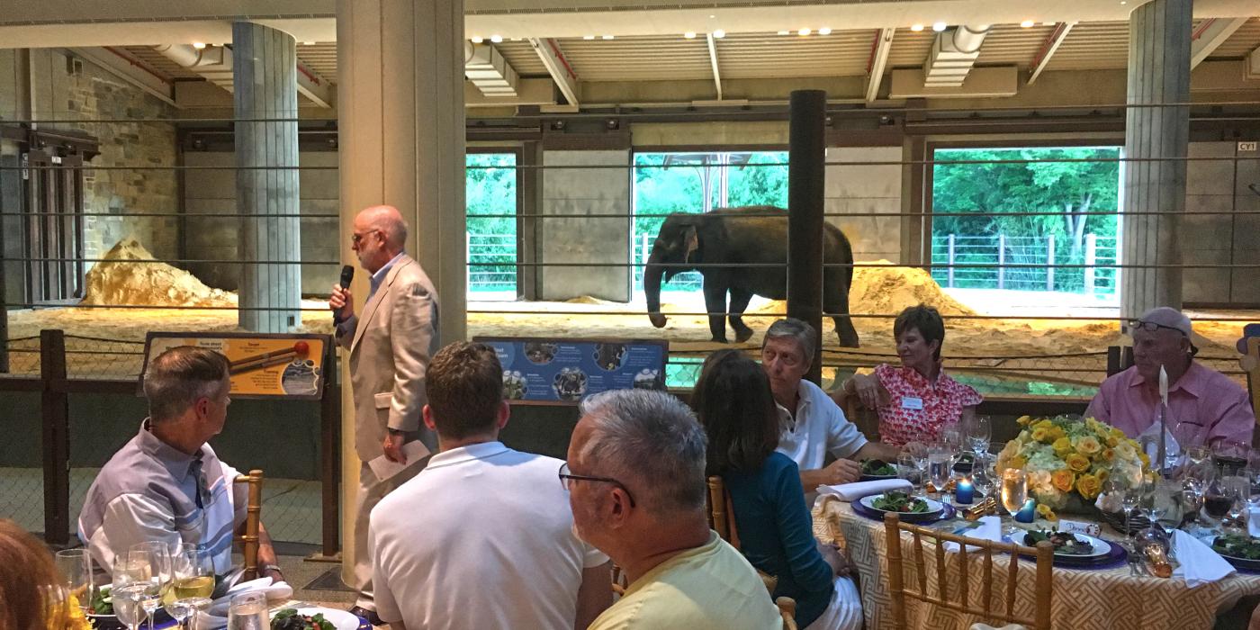 People sit around tables overlooking elephants inside the Zoo's Elephant Community Center during a private, catered event