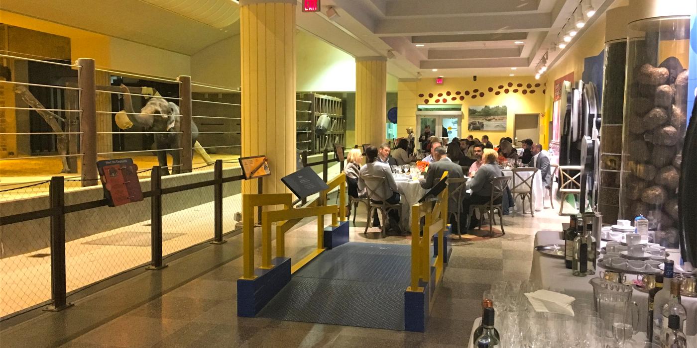 A catered event set up inside the Elephant Community Center at the Smithsonian's National Zoo with people eating dinner at tables alongside the Zoo's elephants