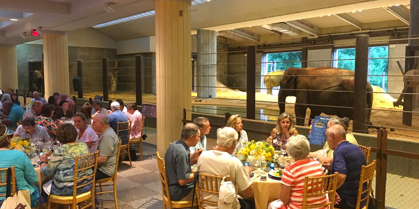 People seated around tables eating alongside elephants in the Elephant Community Center during a private catered event at the Zoo