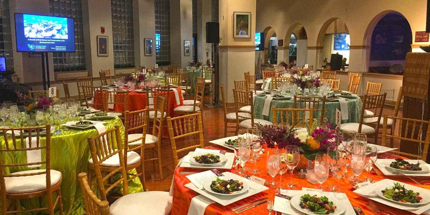 Round tables decorated for a private, catered event in the Amazonia science gallery at the Smithsonian's National Zoo