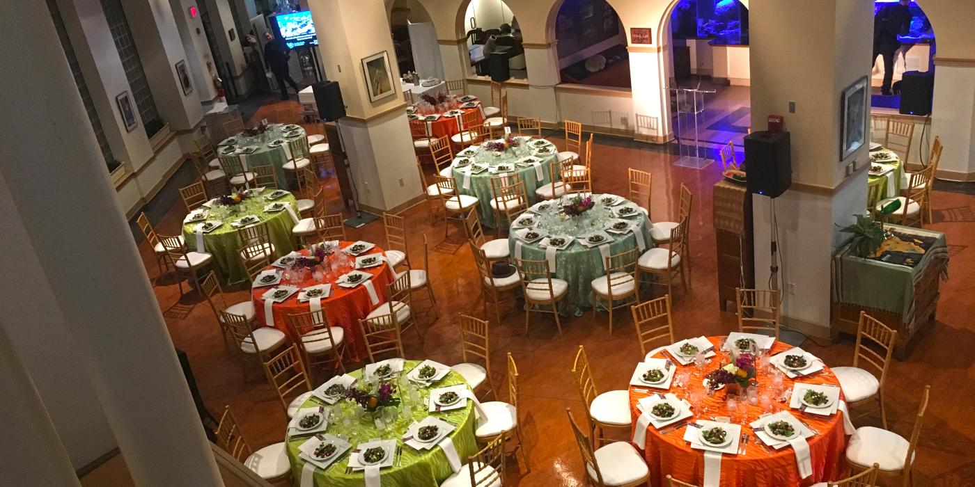 An aerial view of colorful round tables decorated for a private, catered event in the Amazonia science gallery at the Smithsonian's National Zoo