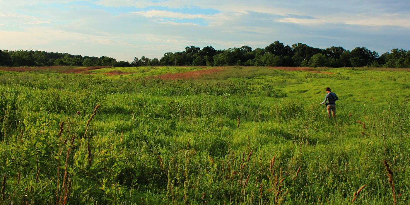 Virginia Working Landscape