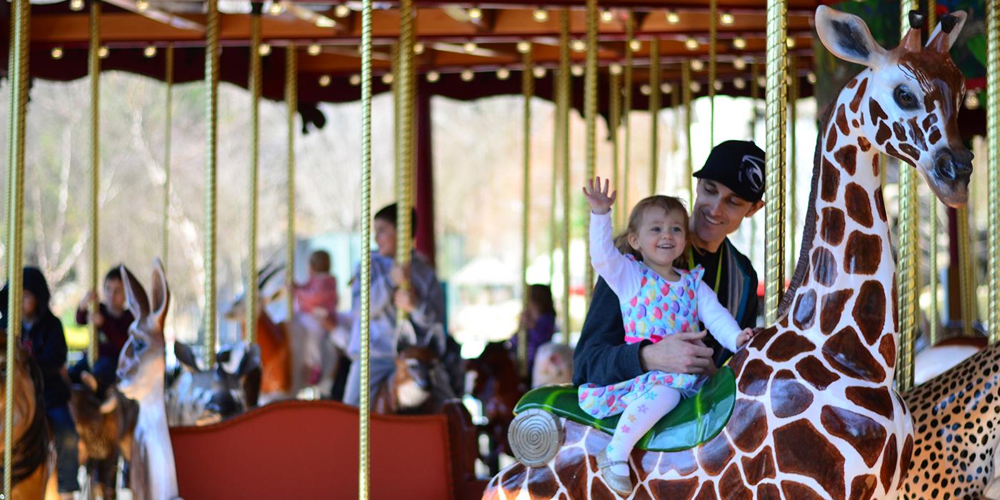 Visitors ride the Zoo's carousel. In the foreground, a young girl with one hand in the air sits atop a giraffe seat while her parent holds her in place.